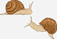 卡通蜗牛免抠素材_新图网 https://ixintu.com 卡通 卡通蜗牛 手绘蜗牛 矢量蜗牛