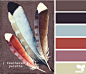 feathered palette
