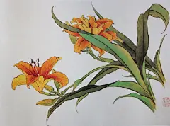 中国工笔画《荣宝斋花卉画谱》珍藏版!