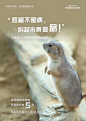 微信图片_20200514153405