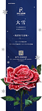 蓝城-玫瑰园 地产微信 节气微信
大雪