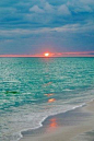 I Love the Ocean
