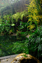 #上热门
【游青秀山荫生植物园】
         那日从桃 - 抖音
