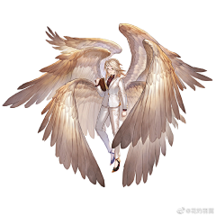 黑屿白采集到翅膀
