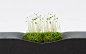 qubon 31030-31 Bonkei Planter Square / Rectangle | PRODUCT | METAPHYS : qubonは、苔や苔玉、エアープランツなど、根の張らない植物を置いて鑑賞する高杯盆景皿です。角柱形の鋳鉄の塊が創りだす硬質で直線的な造形に、球体が衝突してできた窪みのような柔らかい曲面を加えたデザインです。その窪みに置かれた苔は、余白となる鋳鉄との質感の対比によって、美しさが際立つように設計されています。