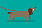 Animation of a happy sausage dog walking#采集大赛#