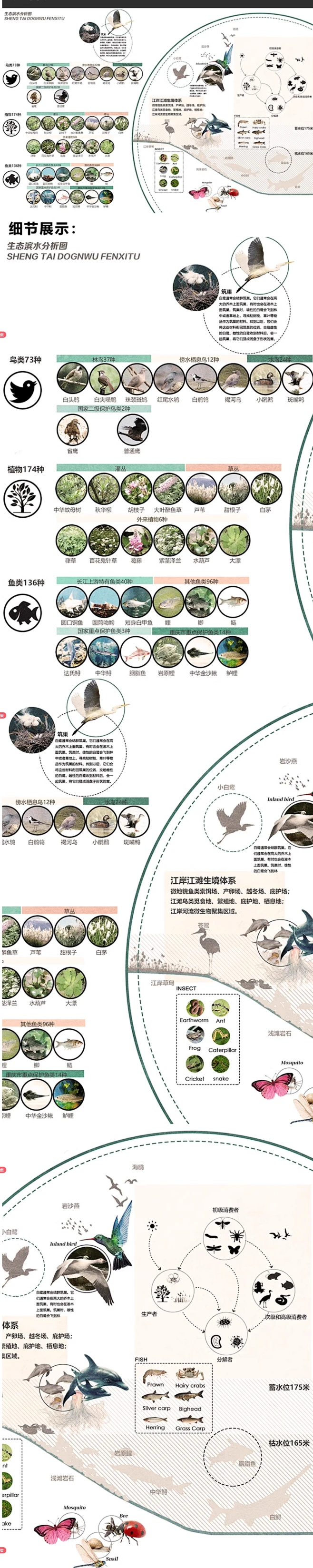 生态湿地分析图PSD分层素材环艺分析图生态滨水分析图PSD素材模板-花瓣网