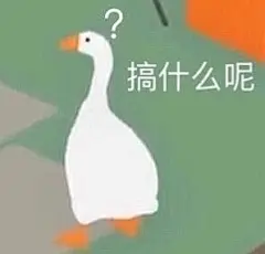 大鹅表情包合集 ​​​​