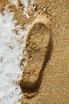 沙滩上的脚印