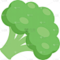 broccoli flat icon on a white background