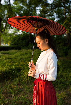 色彩無采集到写真集