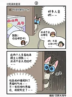 公司的猫咪聚会2（上）_3_阿满和麦茶_来自小红书网页版