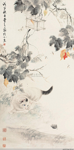雪小石采集到国画---动物集
