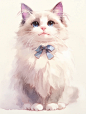AIGC|布偶猫猫，仙气飘飘 - 小红书