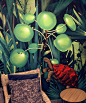 Bar Palmier : Jungle illustration printed on wallpape to decorate the interior of the lounge area of a wine bar.