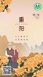 生态环境重阳节海报