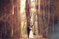 年轻的家庭，这对夫妻在婚礼上的走在一个美丽的秋天公园，神奇的森林