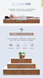 菲欧丽 椰棕床垫棕垫 棕榈硬床垫薄天然乳胶榻榻米床垫定制1.2/1.35/1.5/1.8米 6CM（竹炭面料+3CM椰棕） 0.8米*2米【图片 价格 品牌 报价】-京东