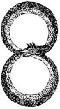 阿拉伯数字“8”形状衔尾蛇