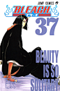 Bleach_cover_37.jpg