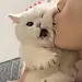 记得来看我呀