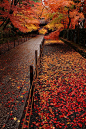 Autumn in Komyo-ji Temple, Nagaoka-kyo, Kyoto, Japan #摄影师# #城市# #楼梯#