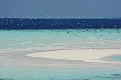梦中的海
