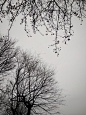 IMG_20170109_152940
