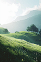 an image of a green hill near a mountain, in the style of immersive, hazy, dreamlike quality, animated gifs, forestpunk, soft focus nostalgia, cryengine, light indigo