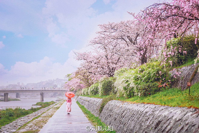 #带着微博去奈良##路上的美景# <br...