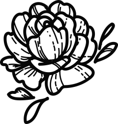 女性唯美瑜伽花卉植物蝴蝶月亮简笔画LOGO图标印花合成免抠PS素材 (7)