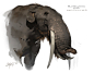 tully-platybelodon