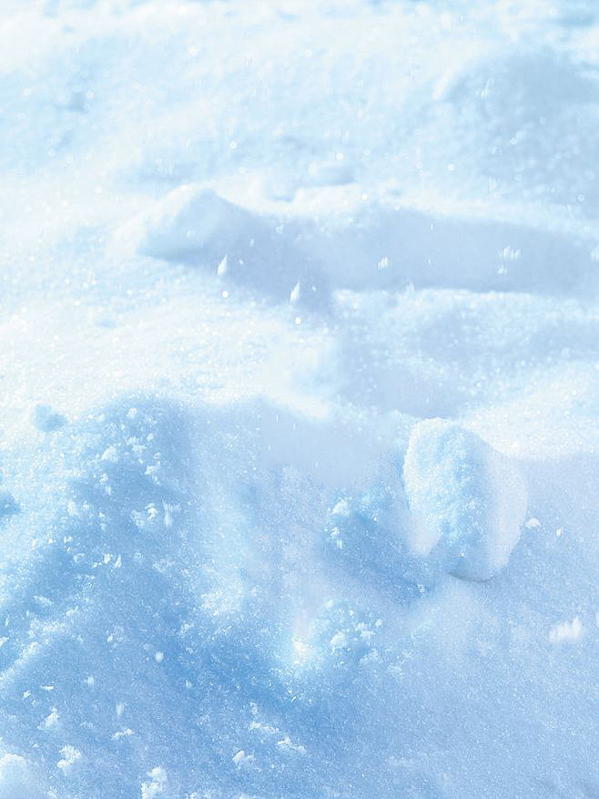 雪地