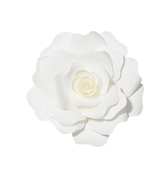 白色花 玫瑰花 png