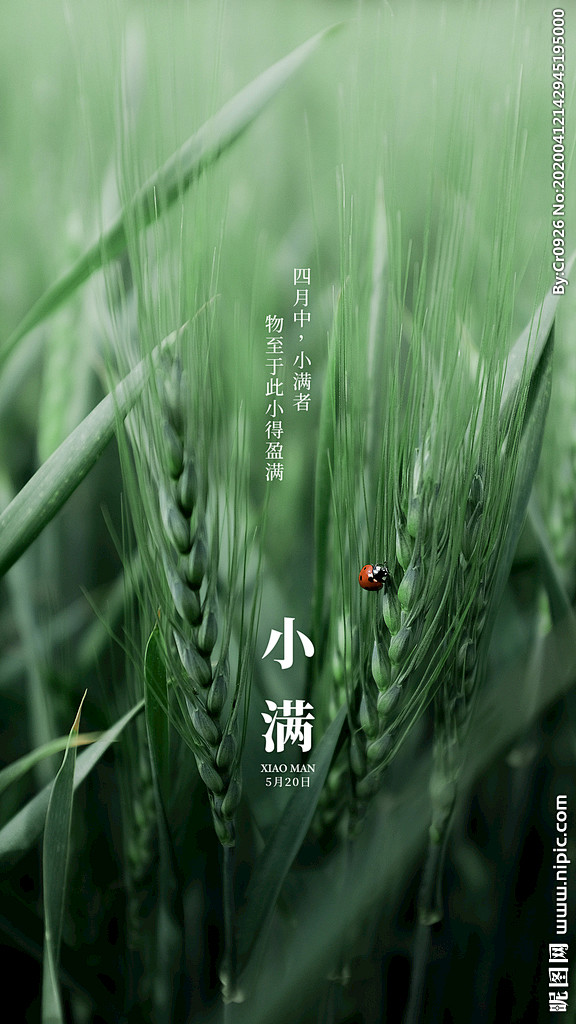 小满