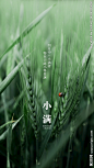 小满