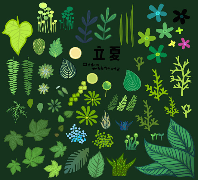 立夏 - 黑荔枝_黑荔枝 叶子 花_涂鸦...