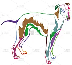 矢量,小灵狗,绘画插图,狗,华丽的,彩虹,注视镜头,可爱的,纯种犬,站