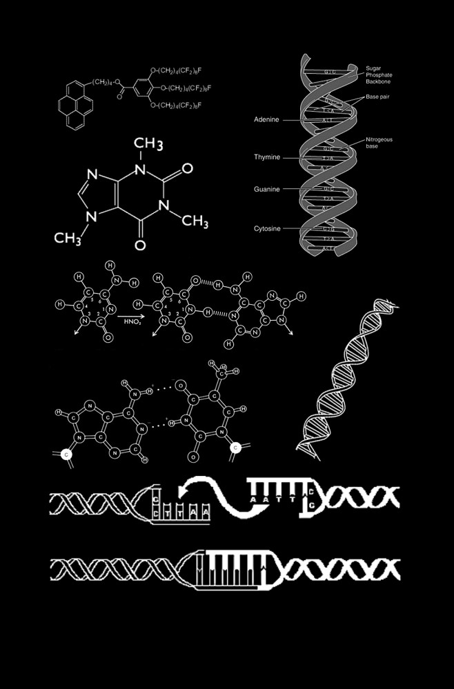 DNA分子结构科学化学背景元素DNA链