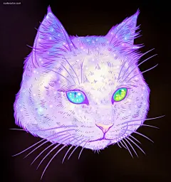 Jen Bartel 梦幻般的猫咪插画 韩国 超现实主义 色彩构成 色彩 肖像插画 矢量插画 梦 手绘 彩虹 宇宙 喵星人 动物 