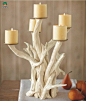 系列朽木蜡烛台DIY创意设计 易控烛生活蜡烛图片分享╭★肉丁