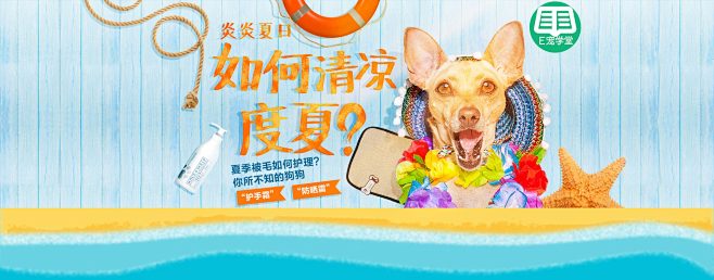 如何清凉度夏？夏季被毛如何护理？ - E...