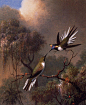 国外经典油画大全（Heade, Martin Johnson）