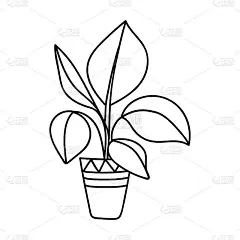 单手绘制无花果。矢量插图涂鸦风格。孤立在白色背景上。