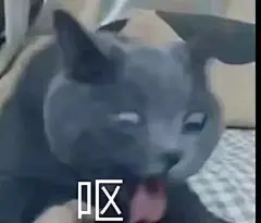 沙雕表情包～ 呜呜呜... - @表情包弟弟的微博 - 微博