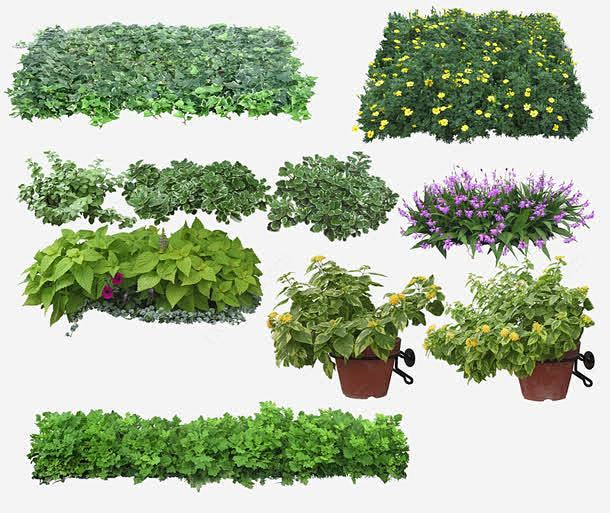 绿色植物高清素材 3D贴图 效果图元素 盆景 绿化 绿植 绿色植物 元素 免抠png 设计图片 免费下载 页面网页 平面电商 创意素材