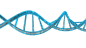 DNA PNG