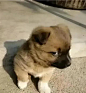 来自分享