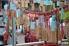 老人去台湾旅游怎么玩？