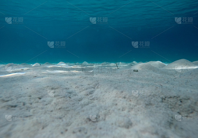 海床,深海潜水,潜水镜,沙子,水肺潜水,潜水,海洋生命,水,休闲活动,水下